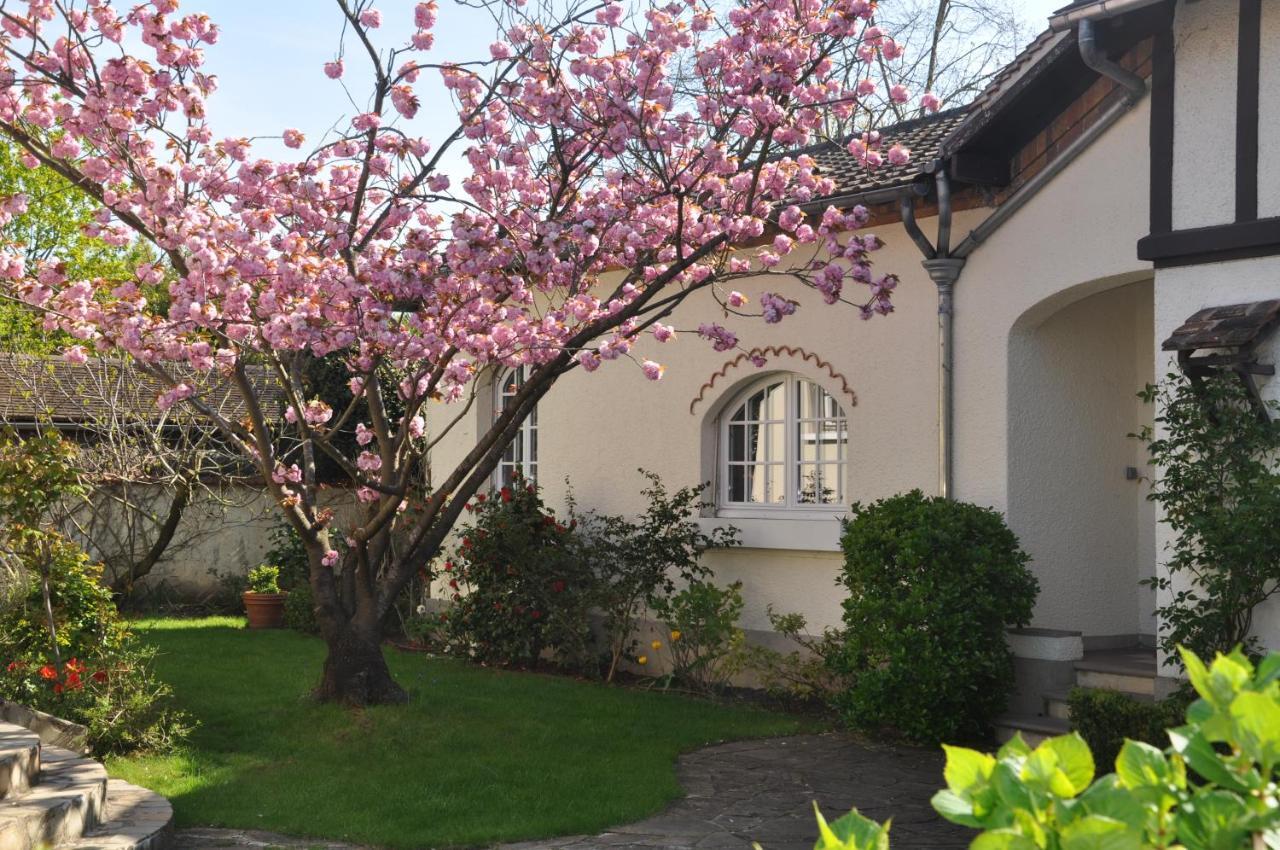 Maison D'Hotes Paris Riverside Saint-Maur-des-Fossés Exterior foto